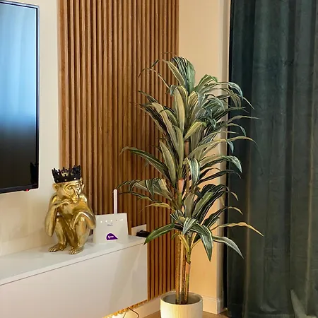 Appartamento Casa Del Bosco! *
